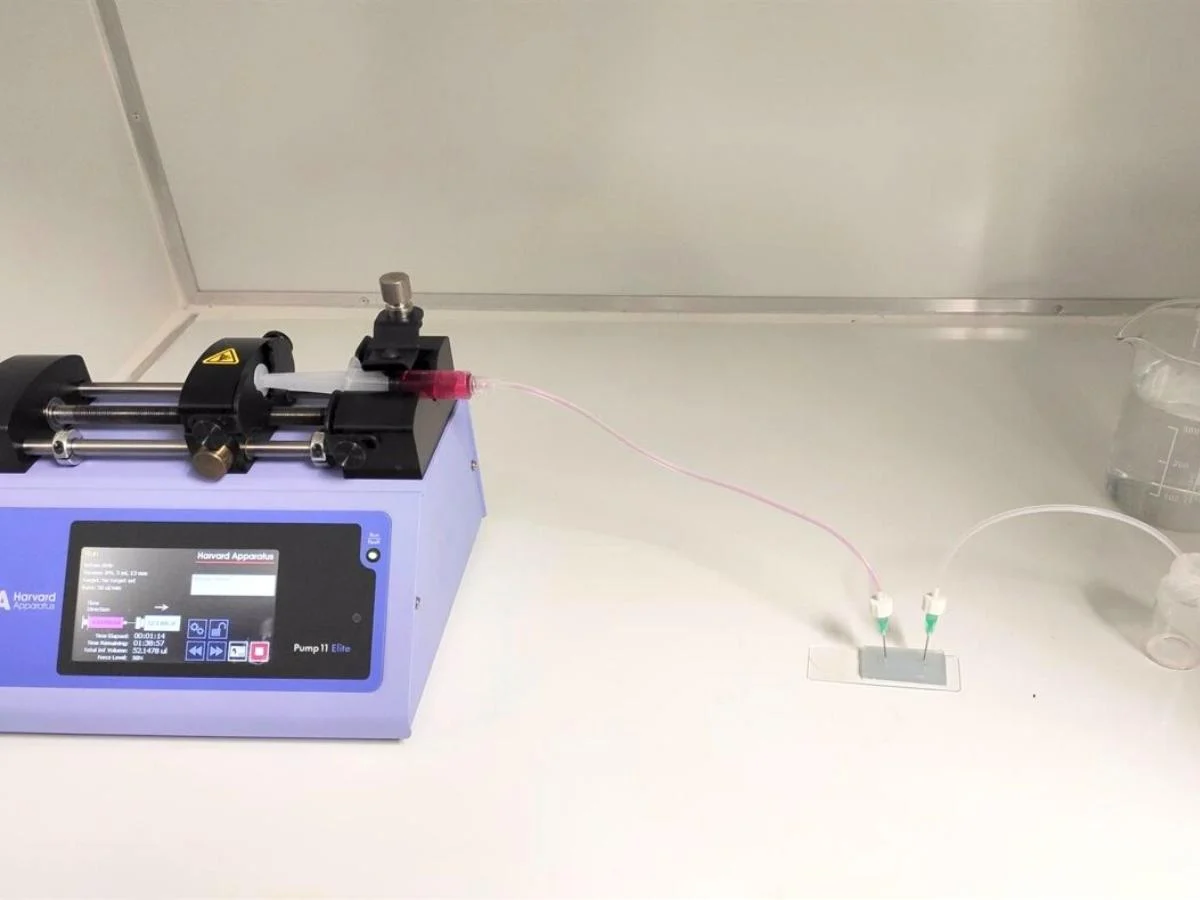Investigadores de la UC3M y la UPM desarrollan un nuevo biochip que abarata la fabricación de piel in vitro