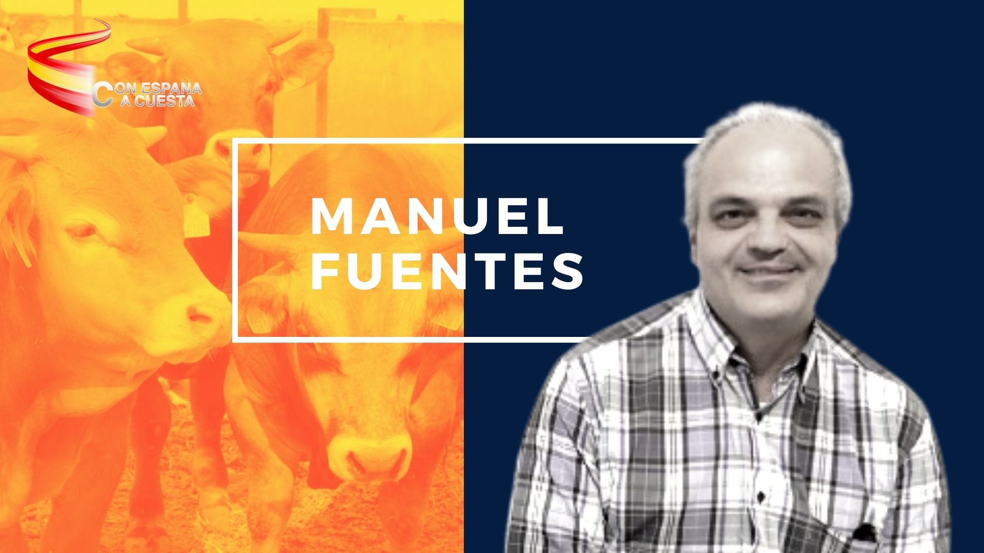 Manuel Fuentes