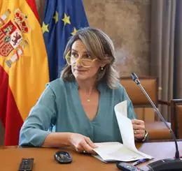 La vicepresidenta tercera y ministra para la Transición Ecológica, Teresa Ribera - Marta Fernández Jara - Europa Press