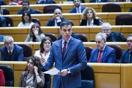 El presidente del Gobierno, Pedro Sánchez, interviene durante una sesión de control al Gobierno – Gustavo Valiente – Europa Press