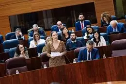 La consejera de Familia, Juventud y Asuntos Sociales, Ana Dávila, interviene durante una sesión plenaria en la Asamblea de Madrid, a 14 de marzo de 2024, en Madrid (España). – Carlos Luján – Europa Press
