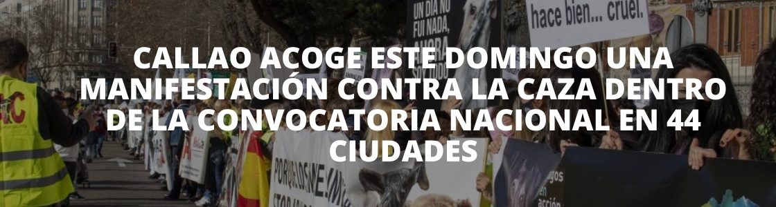 https://distritotv.es/plataforma-nac/